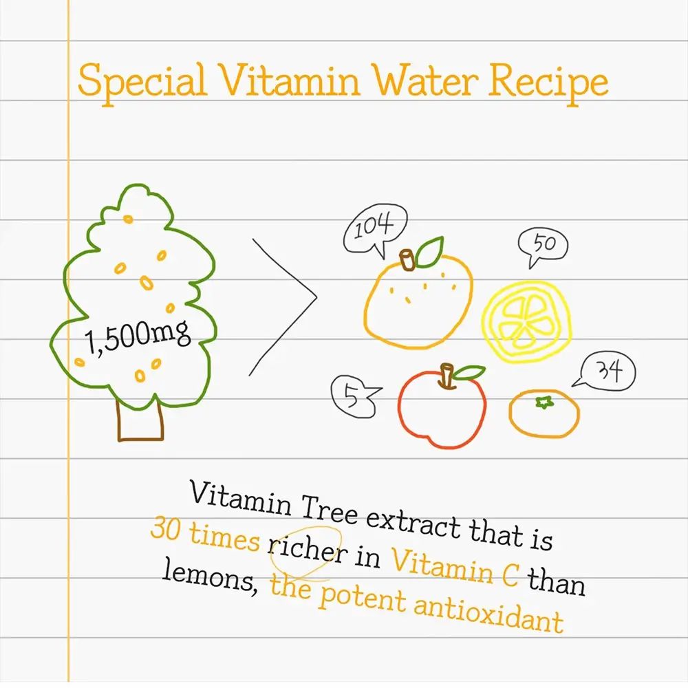 Illustrazione disegnata a mano. Albero con 1500mg. Confronto con frutta: arancia, limone, mela, pomodoro. Testo: Vitamina C.