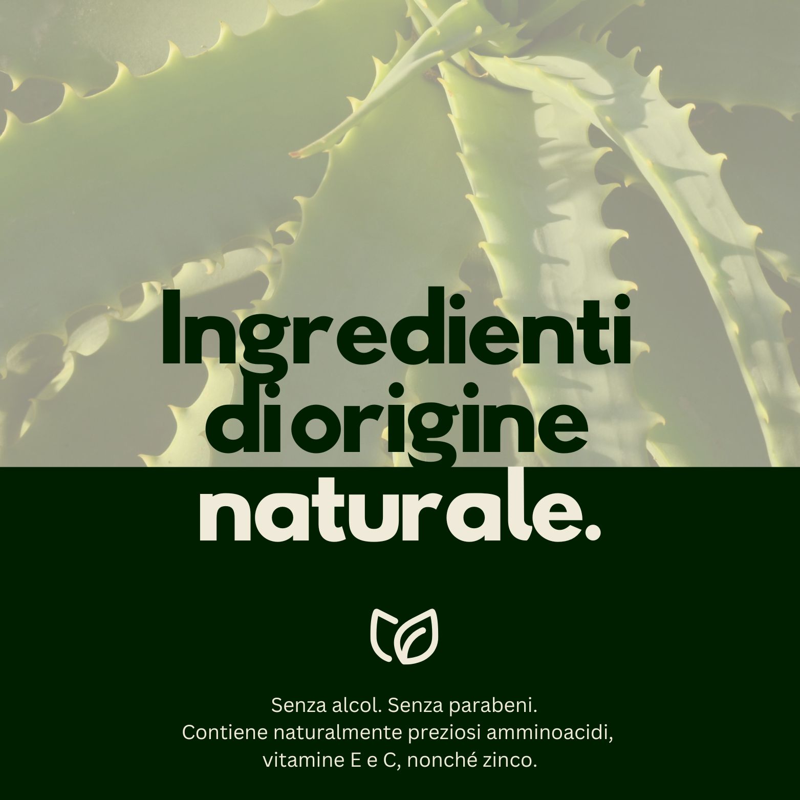 Flacone di gel di aloe vera su pietre, 0% alcol, pH 5.5, gel 2 in 1.