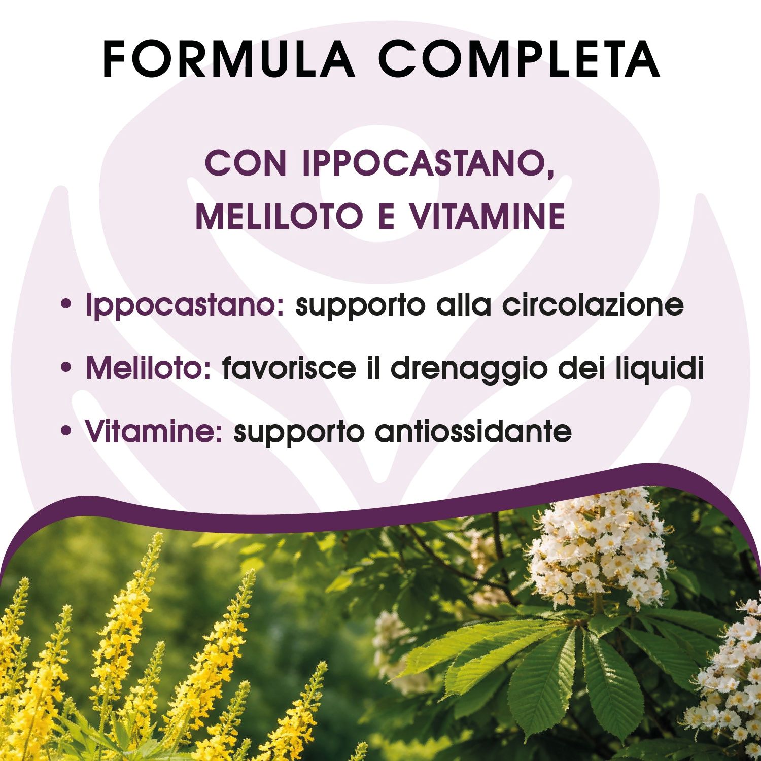 VIDASANA Venalys Diosmina ed Esperidina con Ippocastano, Meliloto e Vitamina C