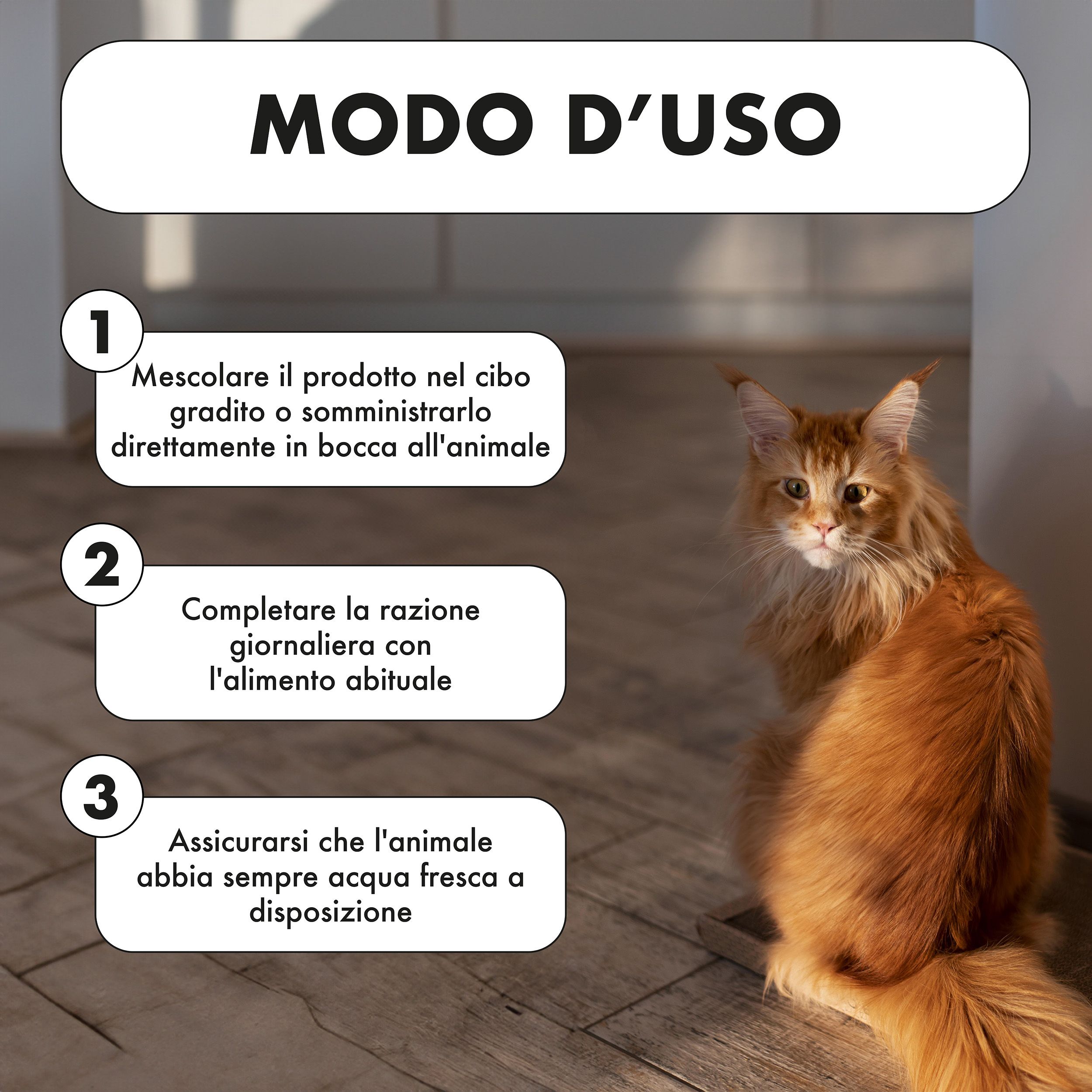 Gatto accanto al testo: Modo d'uso. 3 passaggi: mescolare, razione, acqua fresca.