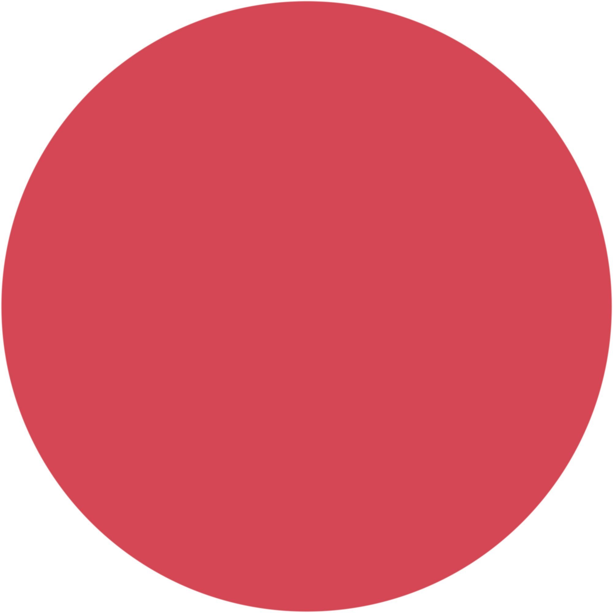 WYCON cosmetics balmy cheeks 308 cranberry punch