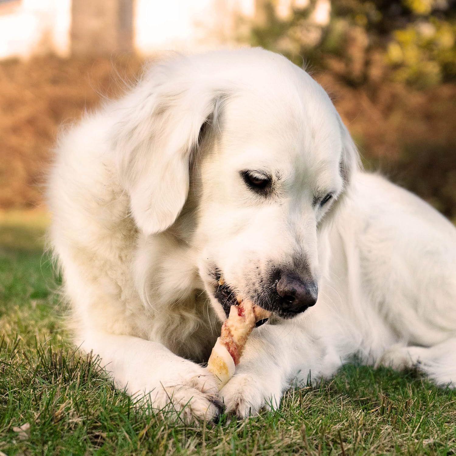 8in1 Triple Flavour Rolls Bastoncini da Masticare per Cani