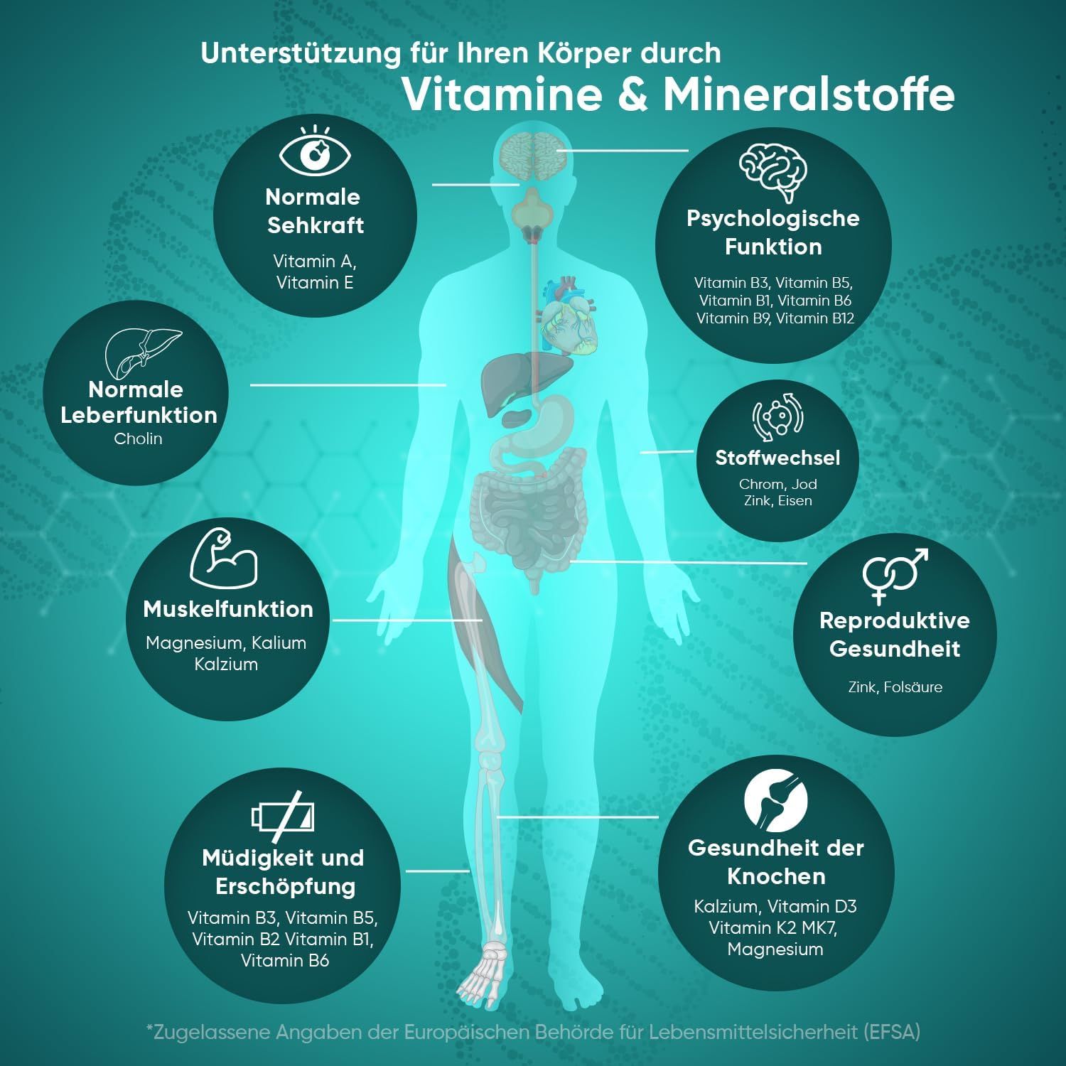 Figura umana con cerchi che evidenziano vitamine e minerali. Organi e parti del corpo visibili.