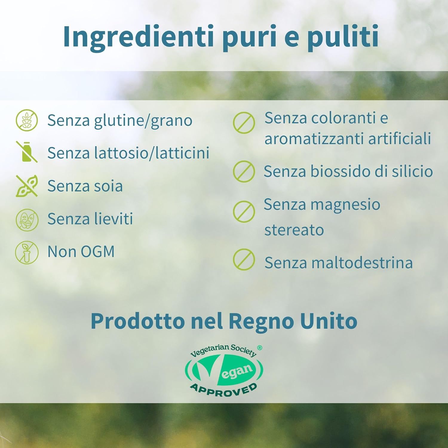 Testo: Ingredienti puri e puliti. Simboli: Senza glutine, lattosio, soia, lieviti, OGM. Sigillo vegano.