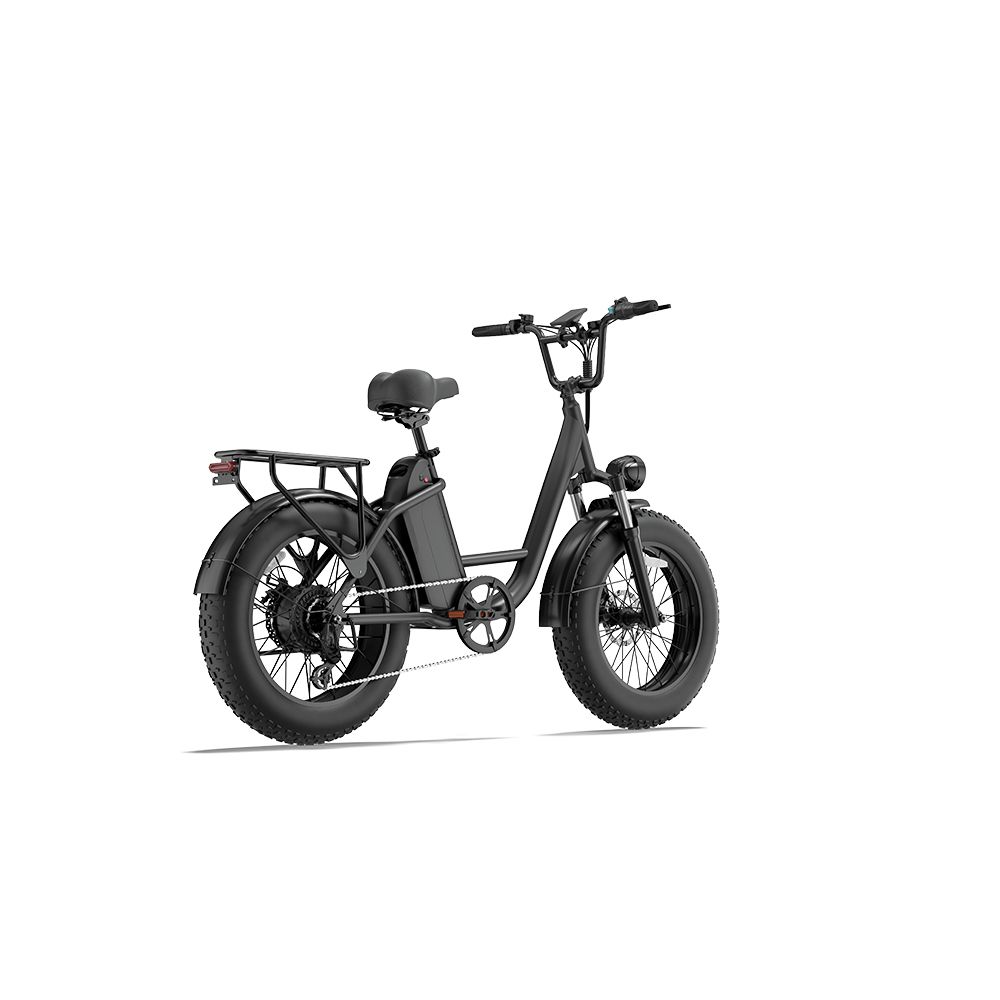 Bicicletta elettrica nera con pneumatici larghi, portapacchi e fanale posteriore. Vista laterale, isolata su sfondo bianco.