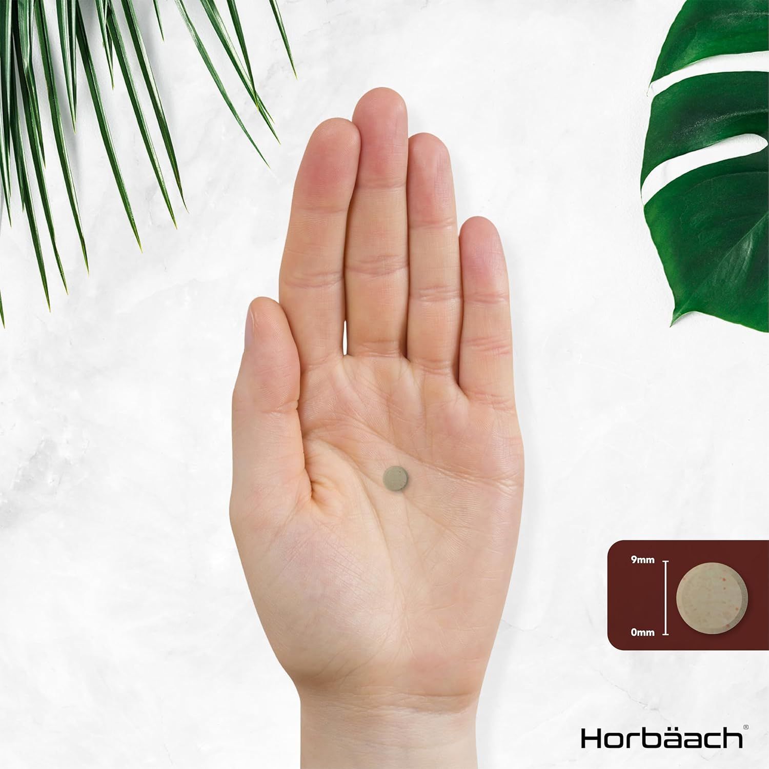 Mano con una compressa. Compressa rotonda, marrone chiaro. Dimensioni: 9mm x 6mm. Logo Horbaach.