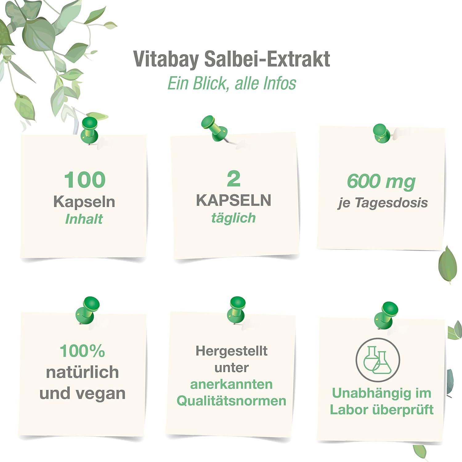 Vitabay Estratto di salvia 600 mg