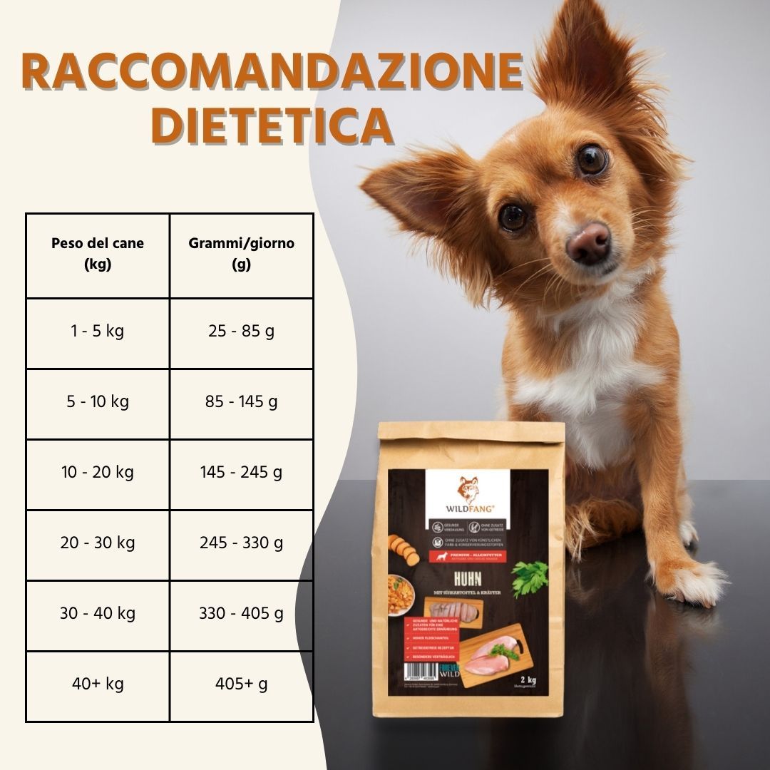 Tabella delle raccomandazioni alimentari per cani. Un cane e un pacco di cibo secco sullo sfondo. Testo: Raccomandazione Dietetica.