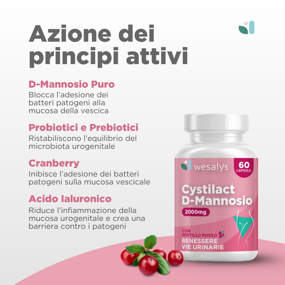 Flacone di capsule Cystilact D-Mannosio. Illustrazioni di mirtilli rossi e mirtilli. Testo sugli ingredienti.