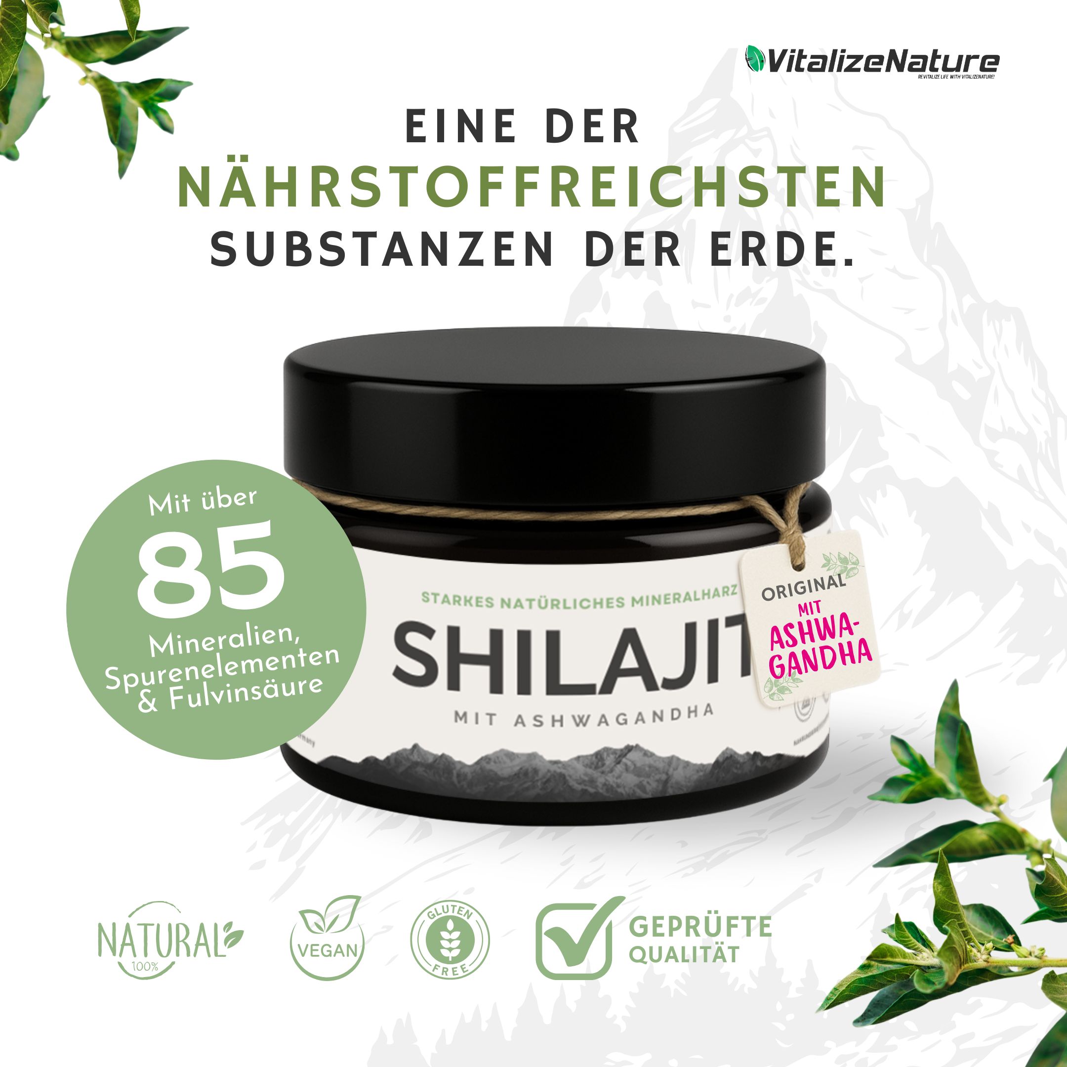 VitalizeNature Shilajit con Ashwagandha