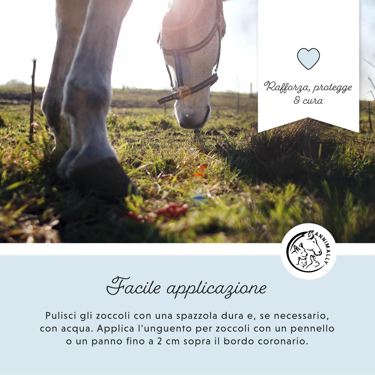 Cavallo in un prato. Testo: Facile applicazione. Pulire gli zoccoli e applicare l'unguento.