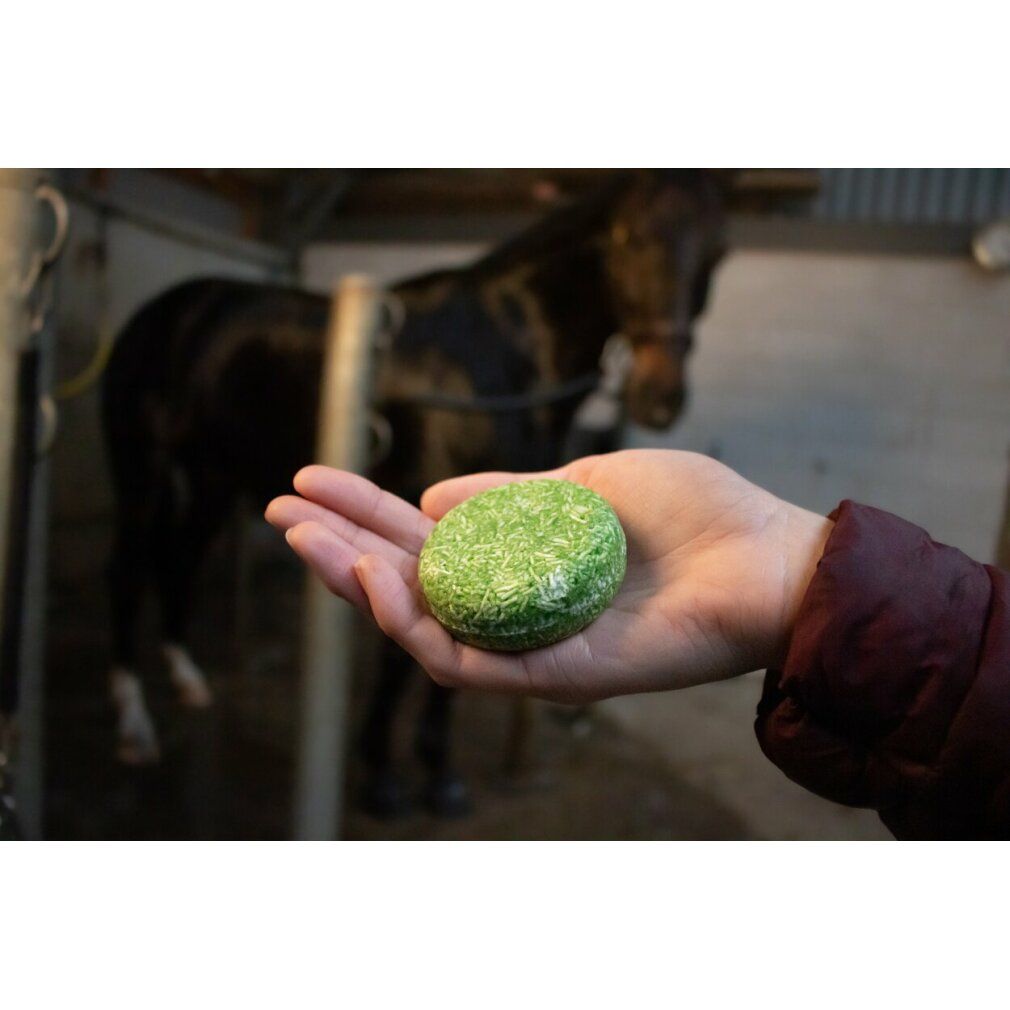 Barra shampoo rotonda verde in una mano. Sullo sfondo, un cavallo in una stalla.