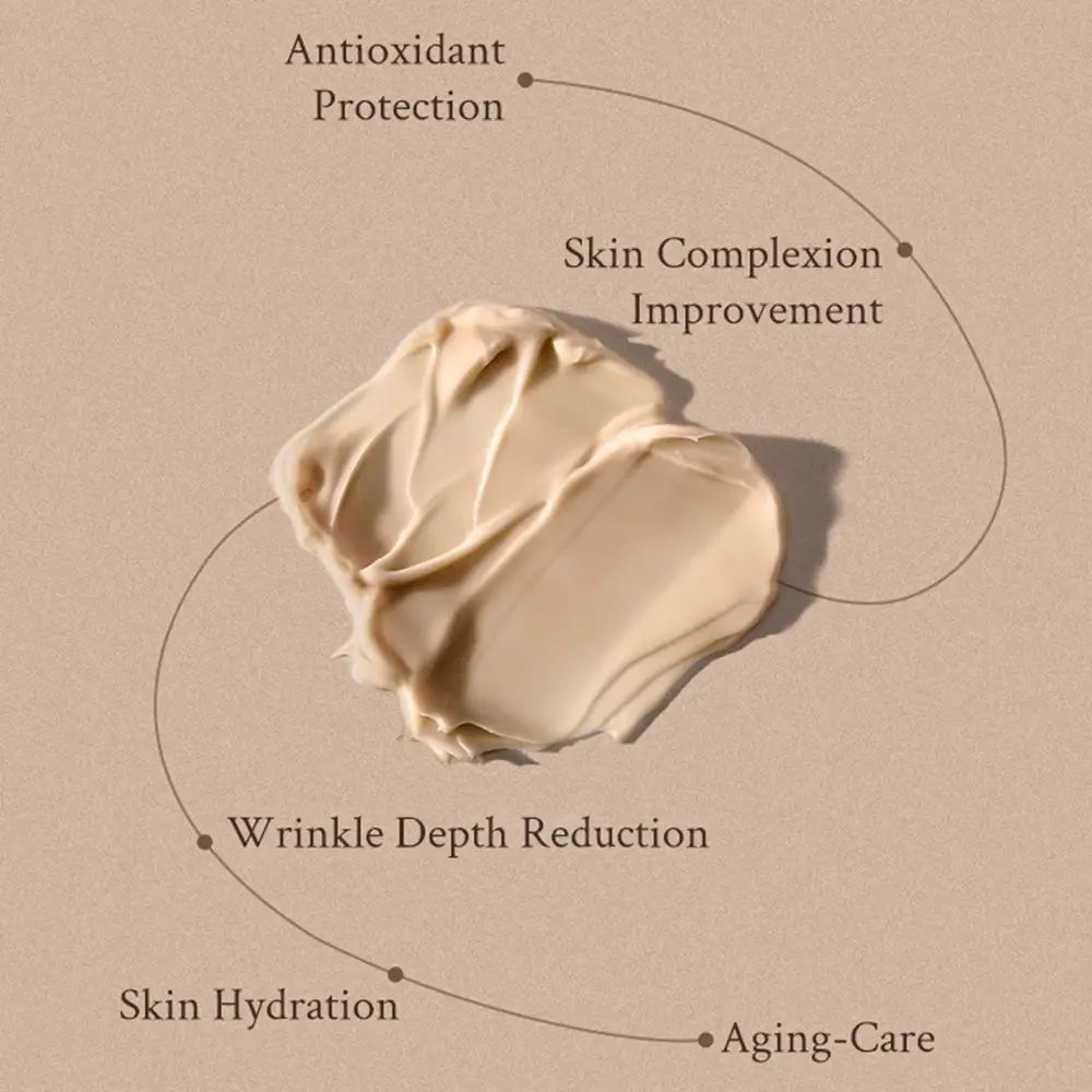 Macchia di crema con frecce verso: antiossidanti, miglioramento della carnagione, riduzione delle rughe, idratazione della pelle, anti-età.