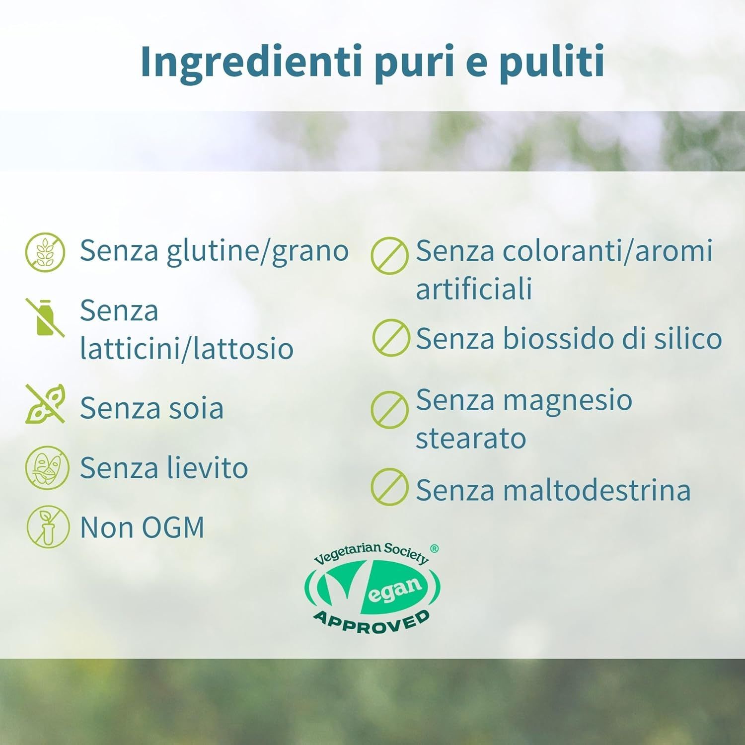 Elenco ingredienti puri con simboli: senza glutine, lattosio, soia, lievito, OGM. Sigillo Vegan.