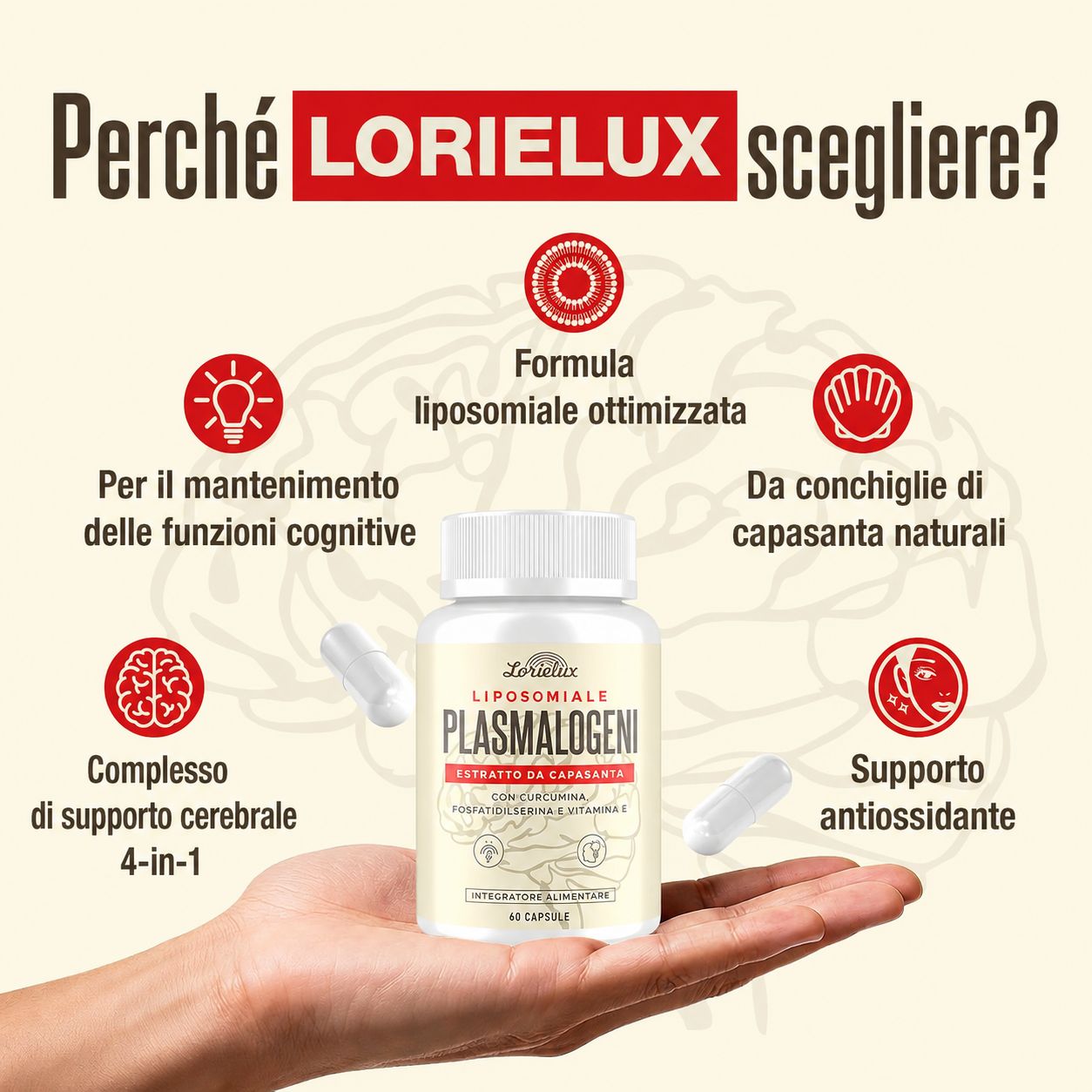 Capsule Nootropiche Liposomiali al Plasmalogeno Lorielux