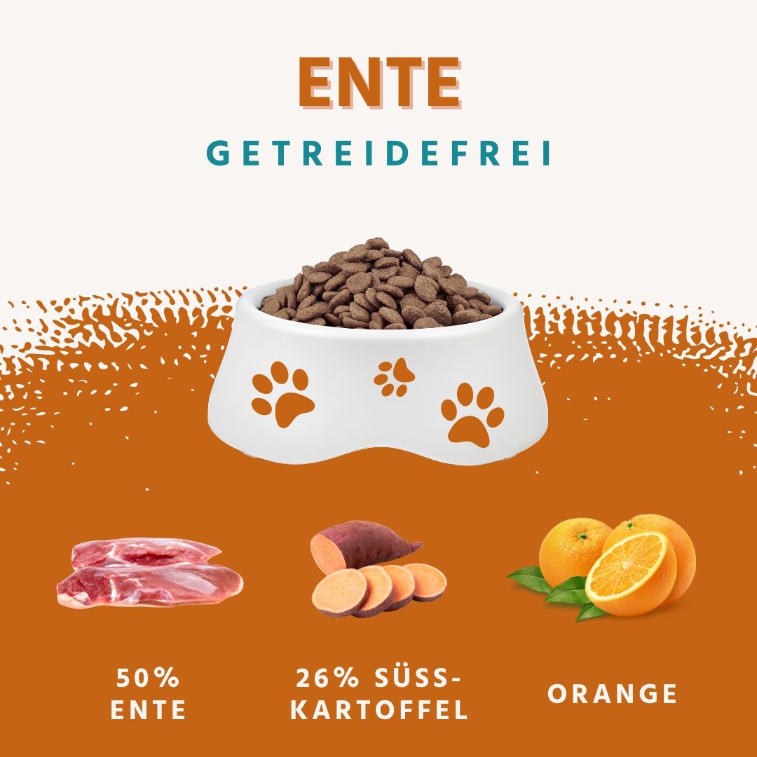 Cibo per cani in ciotola. Anatra, patata dolce, arancia. Testo: anatra, senza cereali. Ingredienti: 50% anatra, 26% patata dolce, arancia.