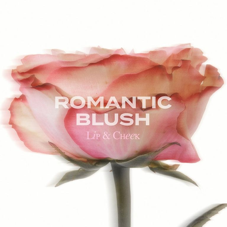 Una delicata rosa rosa con il testo 'ROMANTIC BLUSH Lip & Cheek'.