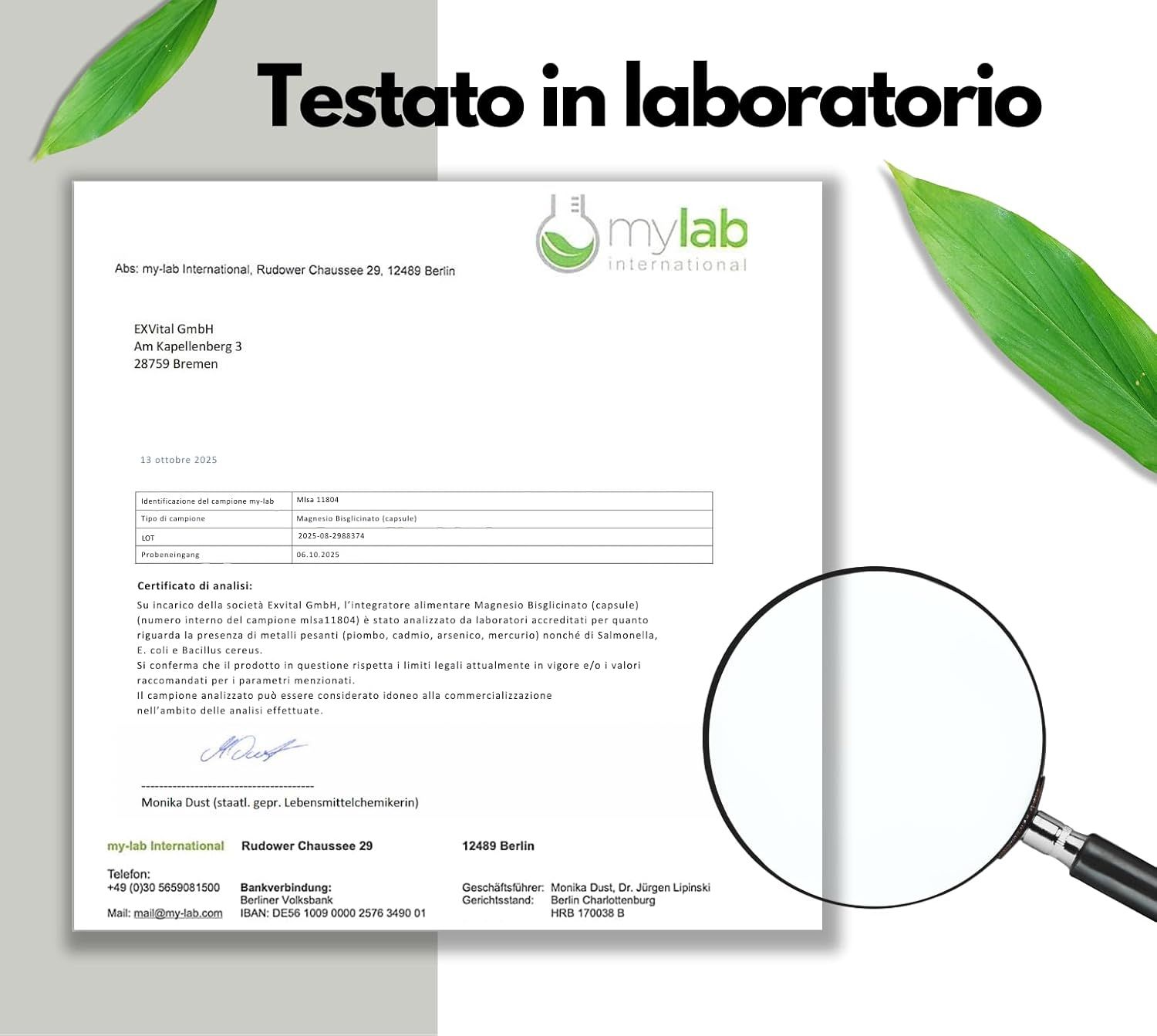Rapporto di laboratorio con lente d'ingrandimento. Testo: mylab international. Prodotto: Magnesio Bisglicinato (capsule). Testato.
