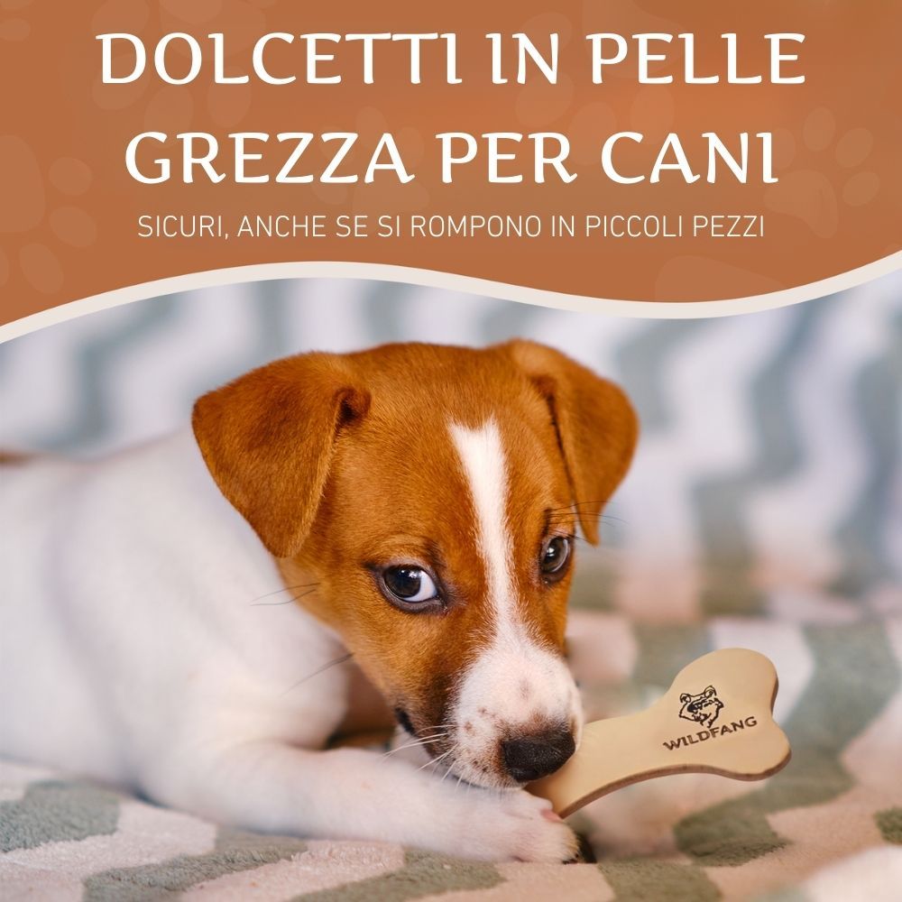 Cane che mastica un osso di cuoio. L'osso ha la forma di un osso. Il logo WILDFANG® è visibile sull'osso.