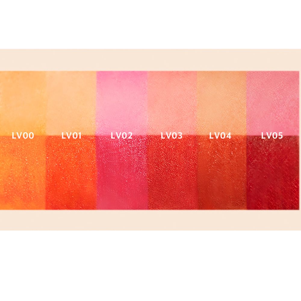 Palette di colori con sei tonalità. Dall'arancione chiaro al rosso scuro. Etichettato da LV00 a LV05.