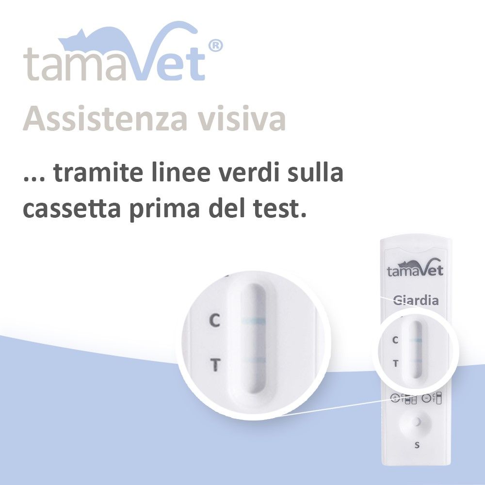 Primo piano di una cassetta di test. Testo: Assistenza visiva tramite linee verdi sulla cassetta prima del test.