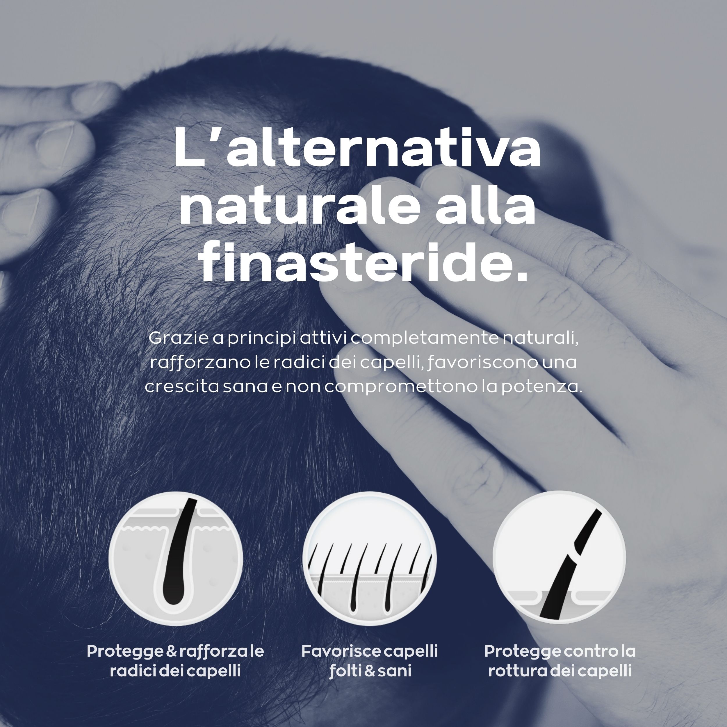 Grafico con cuoio capelluto. Testo: L'alternativa naturale alla finasteride. Illustrazioni di radici dei capelli.