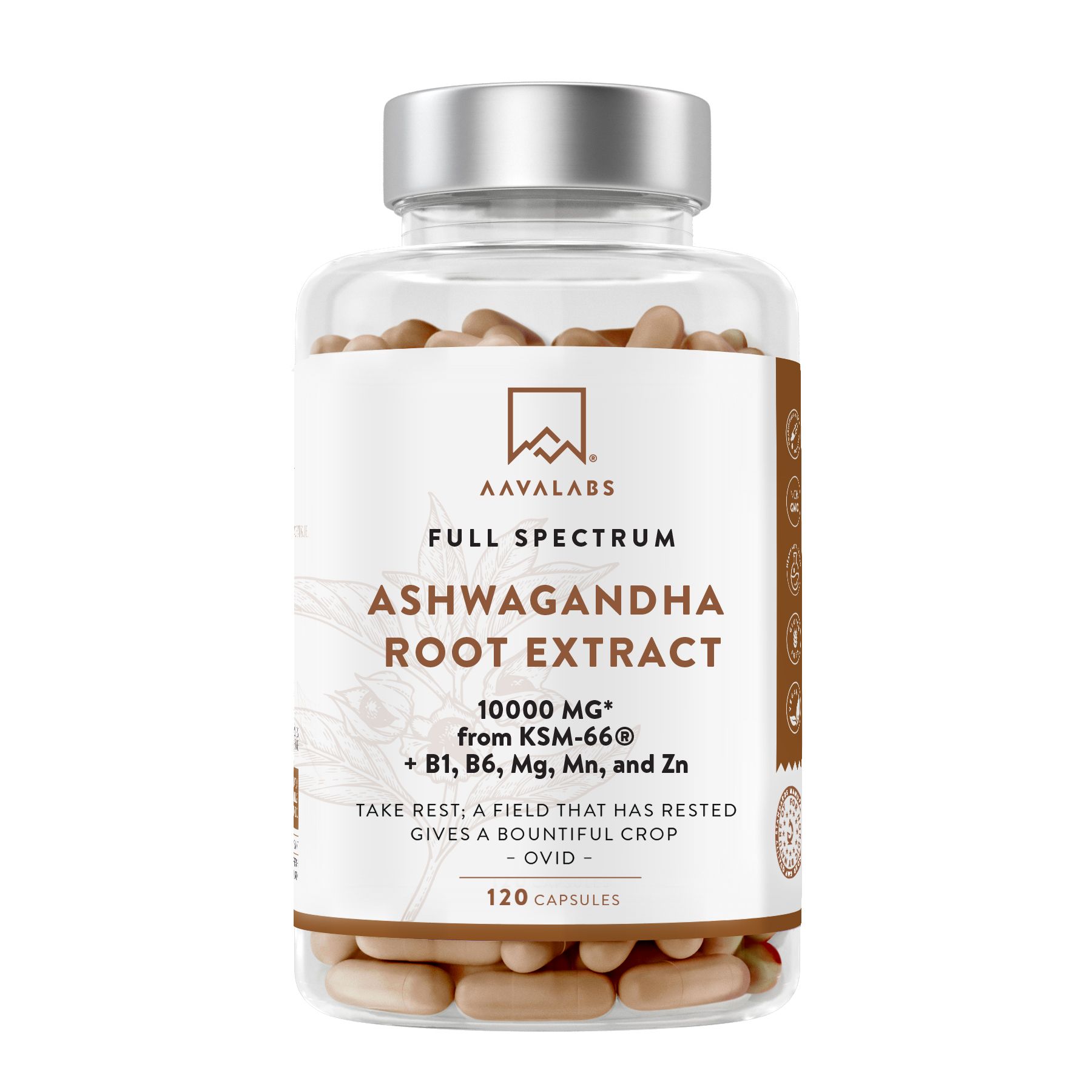 Aavalabs Ashwagandha KSM-66® – Con vitamina B6, magnesio e zinco
