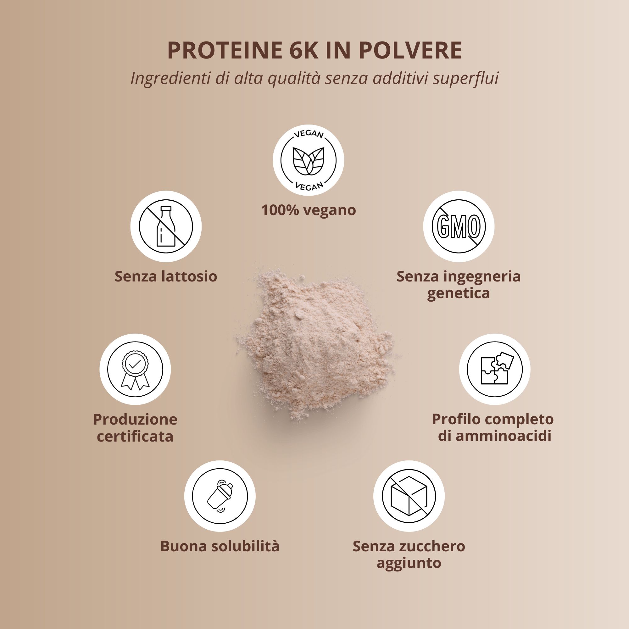 Infografica tedesca: Proteine 6K in polvere, caratteristiche come 100% vegan, senza lattosio, senza OGM.