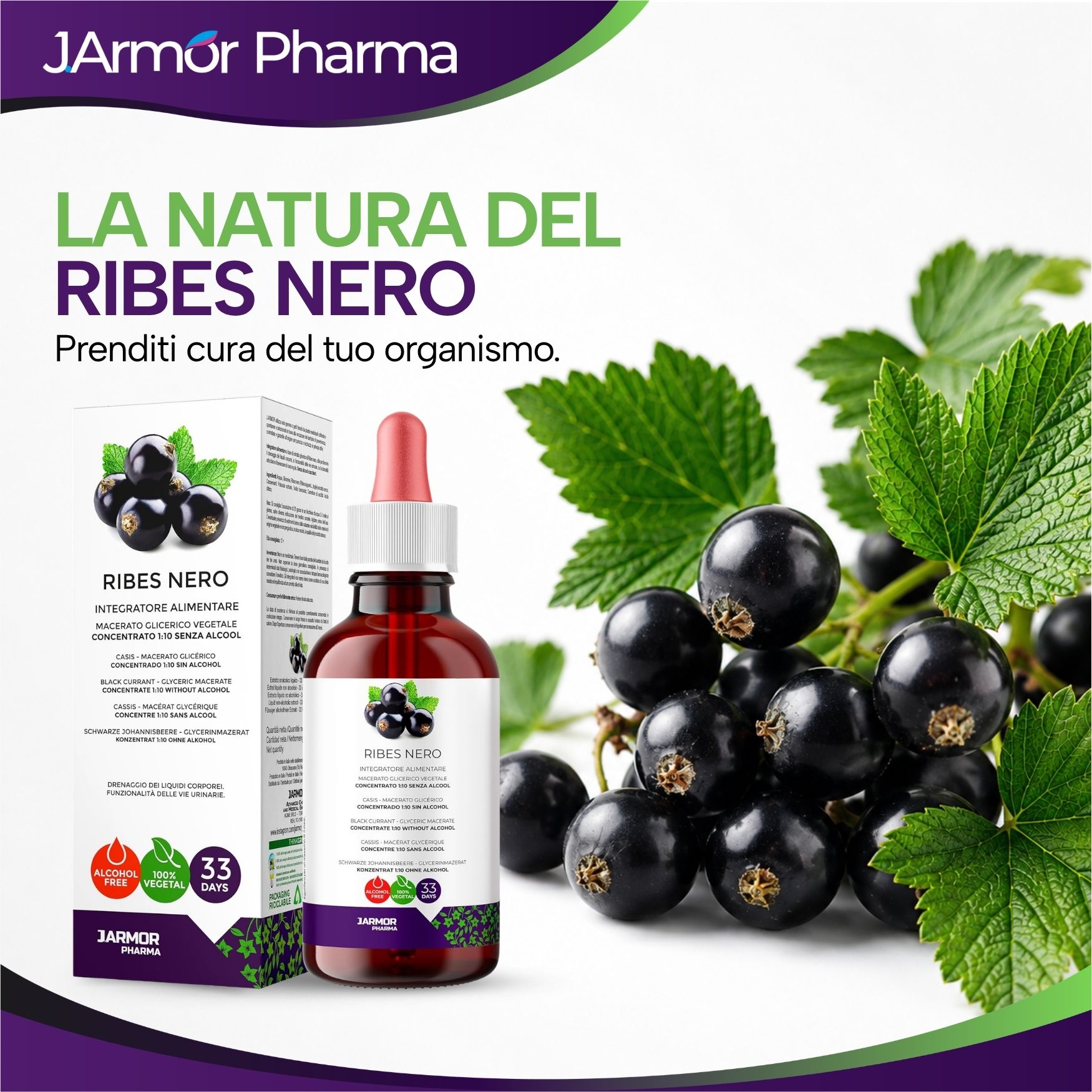 Flacone e scatola di gocce di ribes nero, con bacche e foglie.