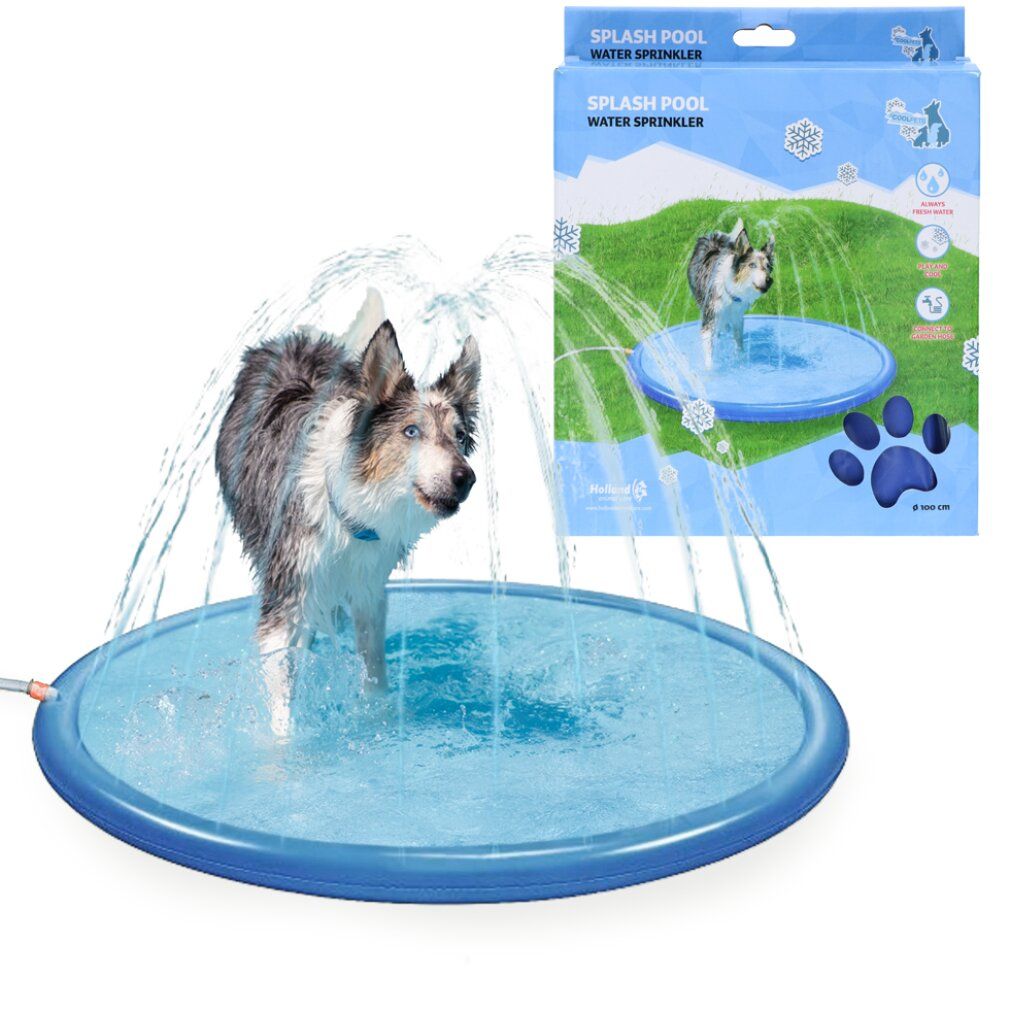 Un cane in una piscina rotonda blu con getti d'acqua. La confezione mostra il prodotto e un cane nella piscina.