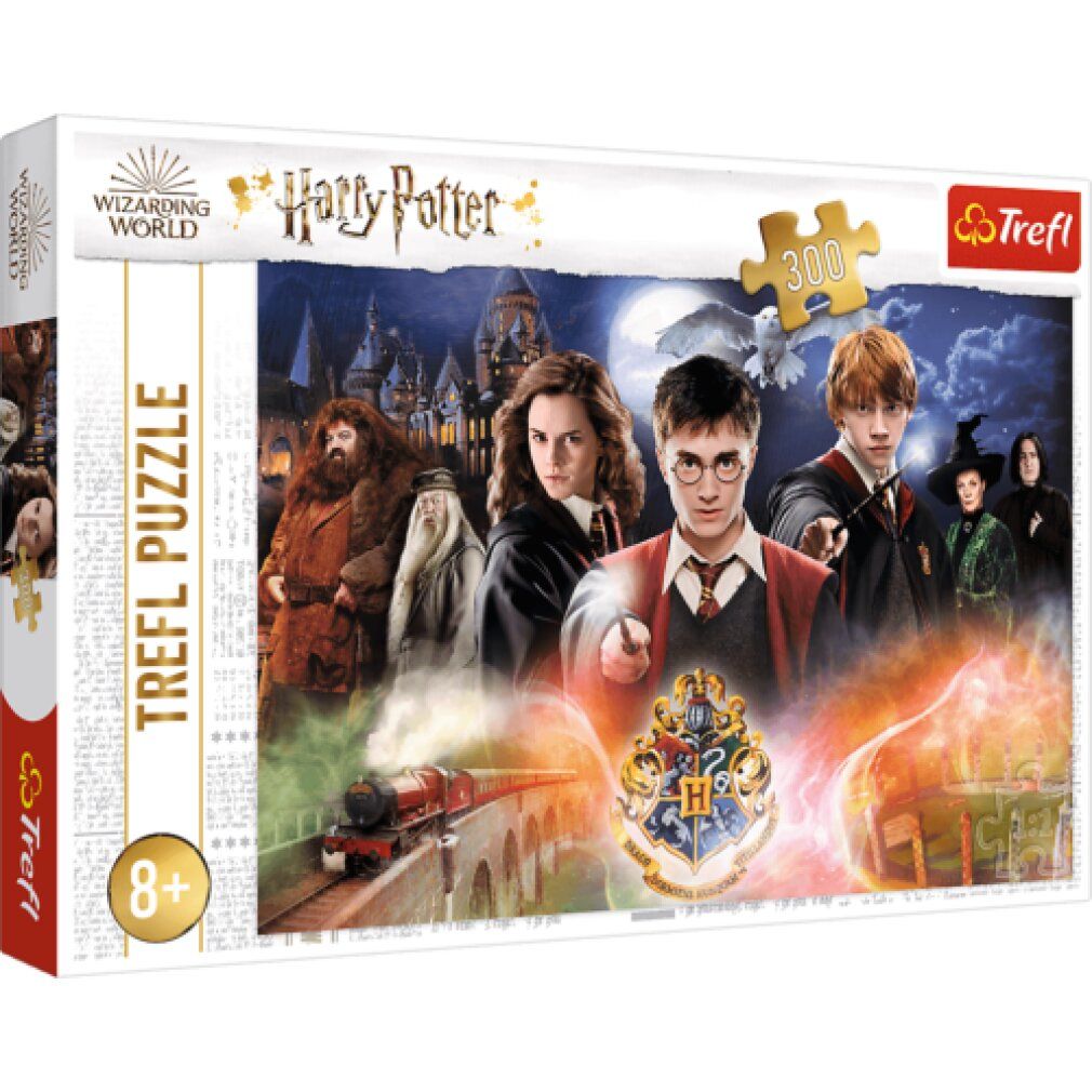 trefl Mysteriös Harry Potter Puzzle 300 pezzi