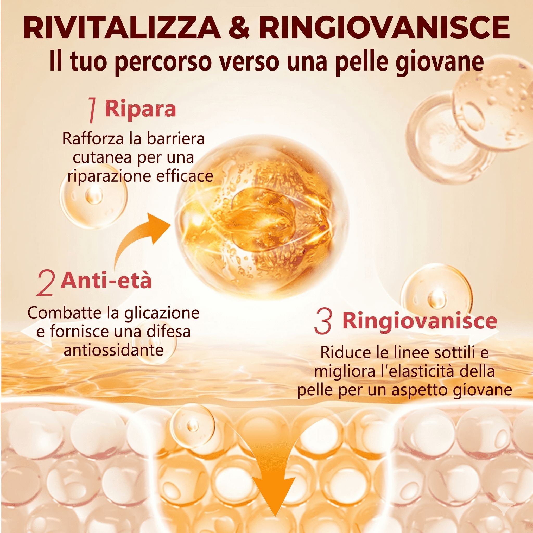 Grafica con tre cerchi e testo: Ripara, Anti-età, Ringiovanisce. Sfondo: cellule della pelle. Freccia verso il basso.