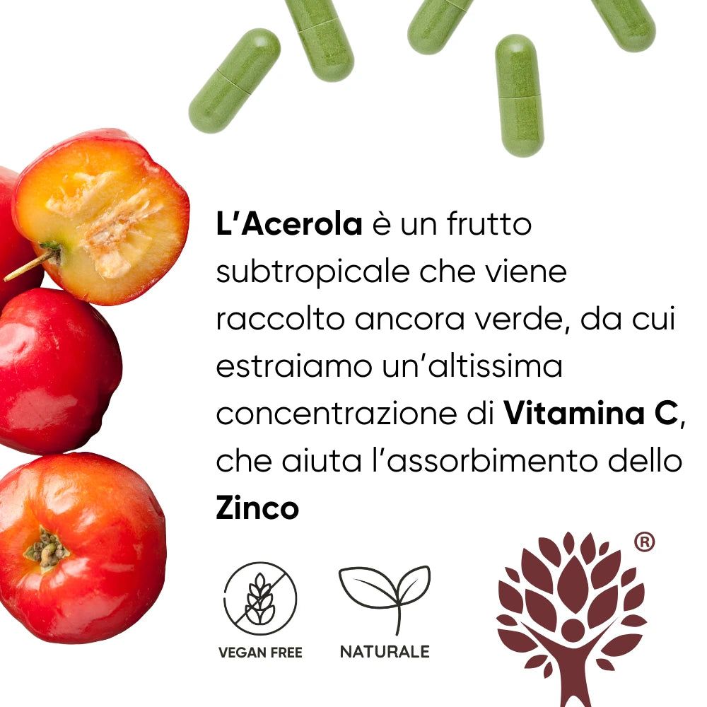 Capsule verdi e frutti di acerola. Testo su vitamina C e zinco. Simboli vegani e naturali.