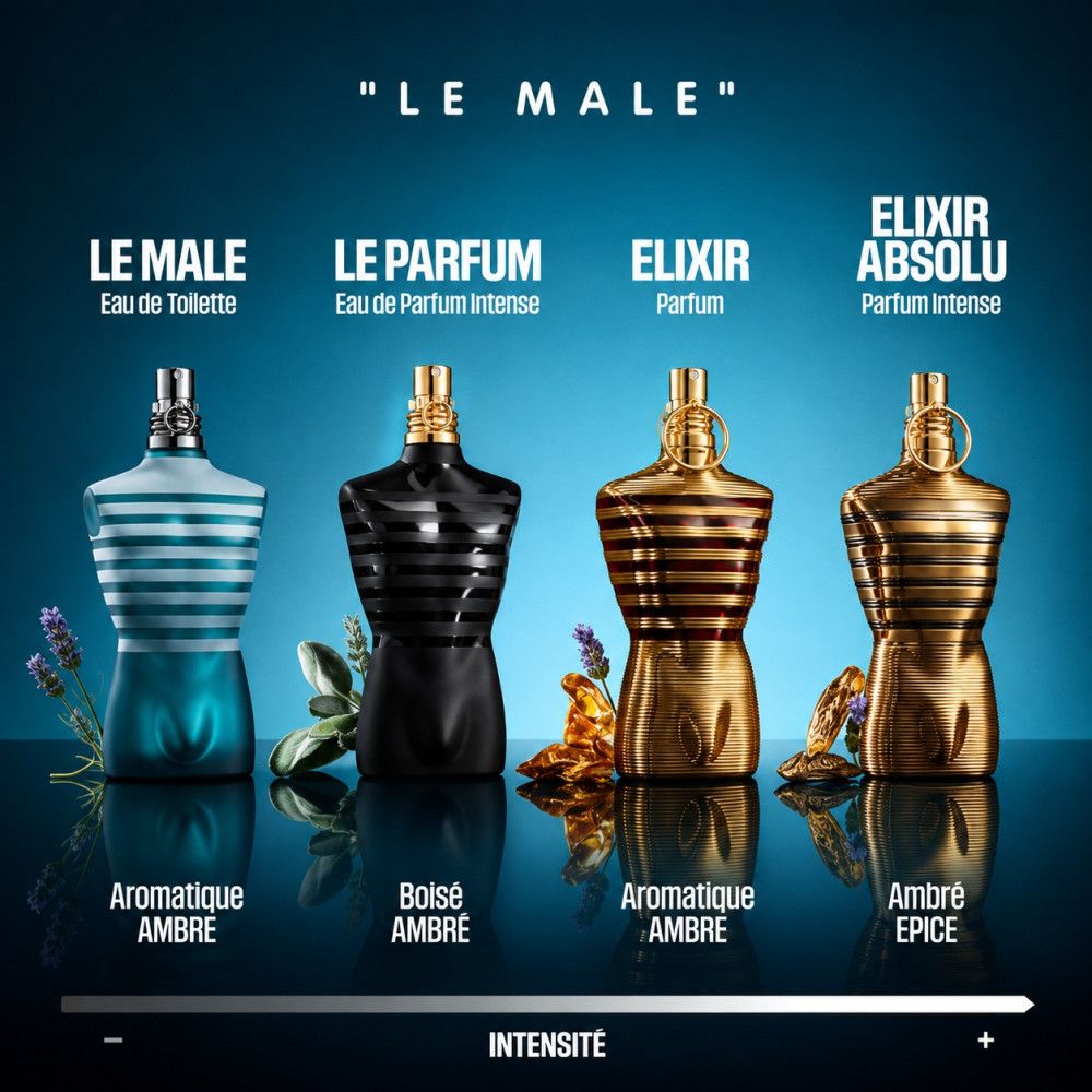 Quattro flaconi Jean Paul Gaultier: Le Male, Le Parfum, Elixir, Absolu, con note olfattive.