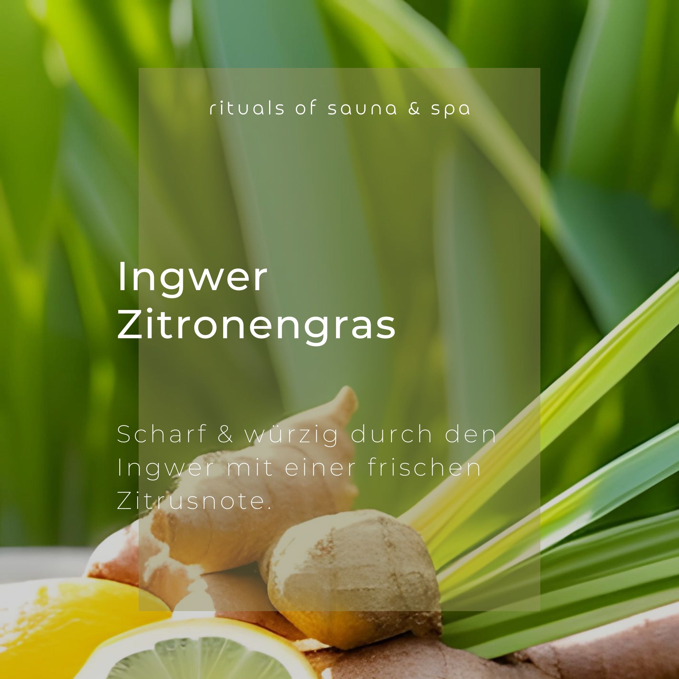 Zenzero, citronella e fette di limone. Testo: Zenzero Citronella. Piccante e speziato con una nota di agrumi.