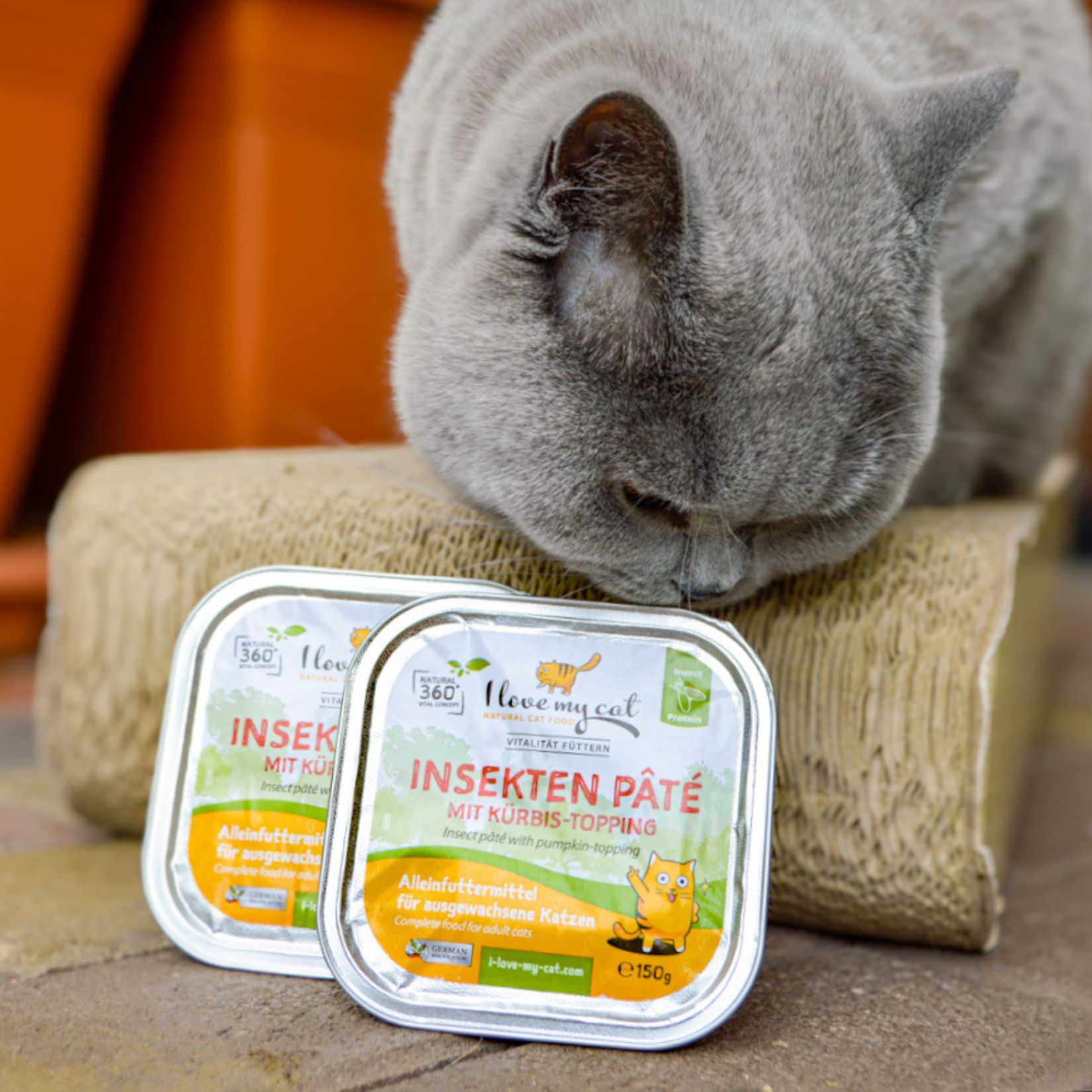 I love my cat Paté di insetti con topping di zucca