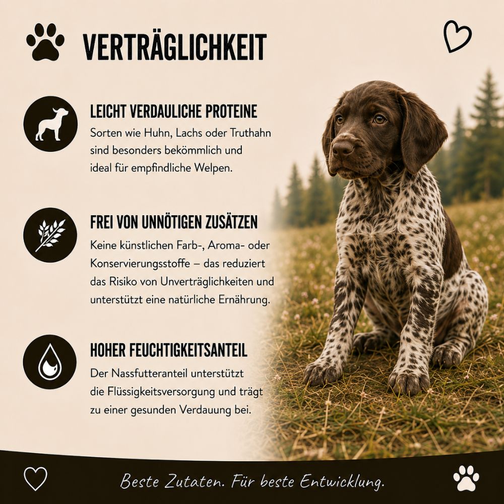 Tollerabilità della scatola Wildfang Junior per cani.