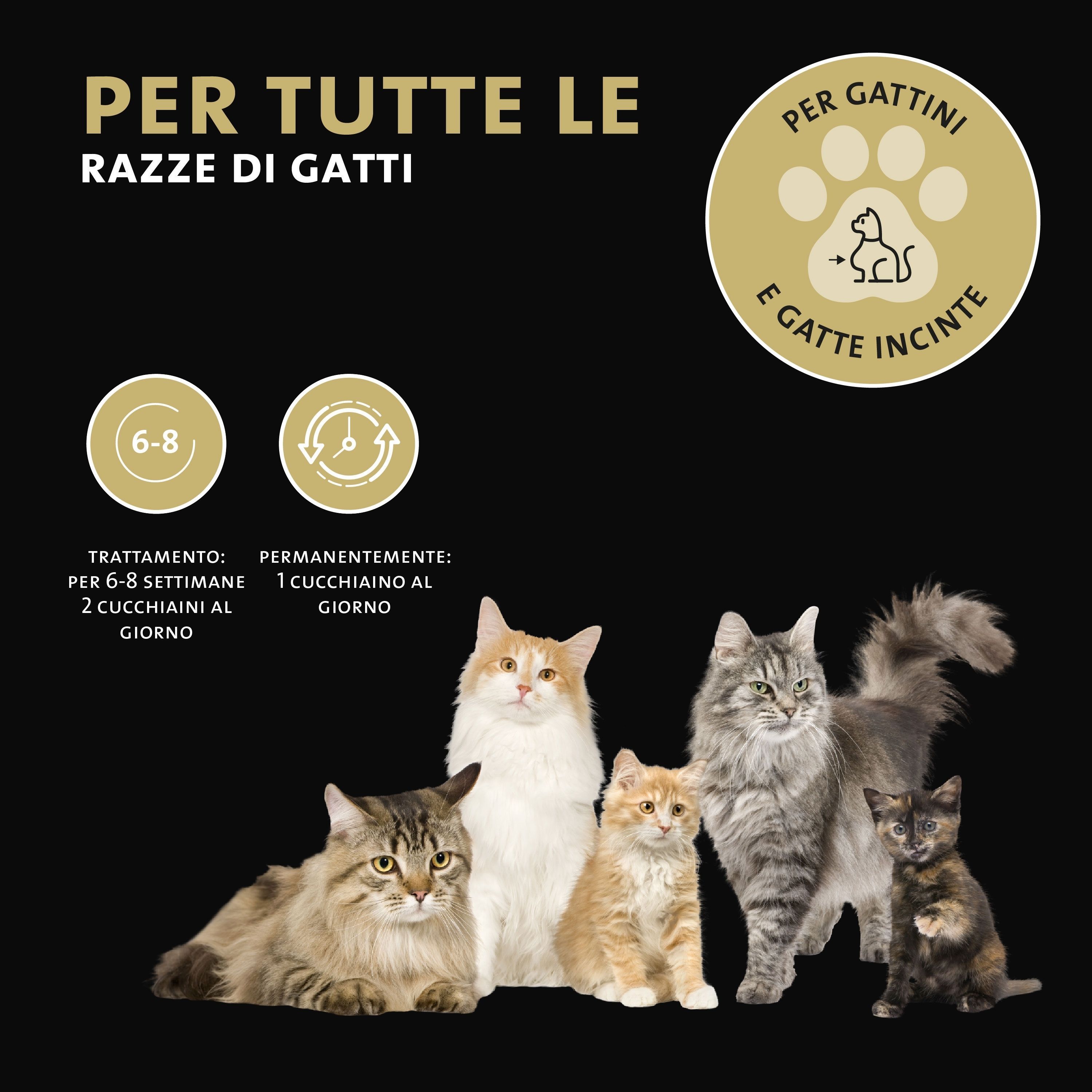 Vari gatti. Testo: Per tutte le razze di gatti. Logo: Zampa, gatto.