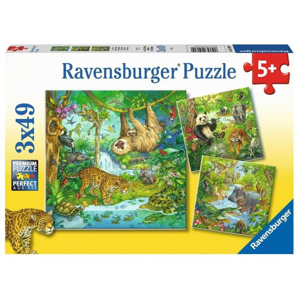 Puzzle: giungla con animali. Un bradipo appeso a un ramo. Un giaguaro a terra. Molti altri animali e piante.