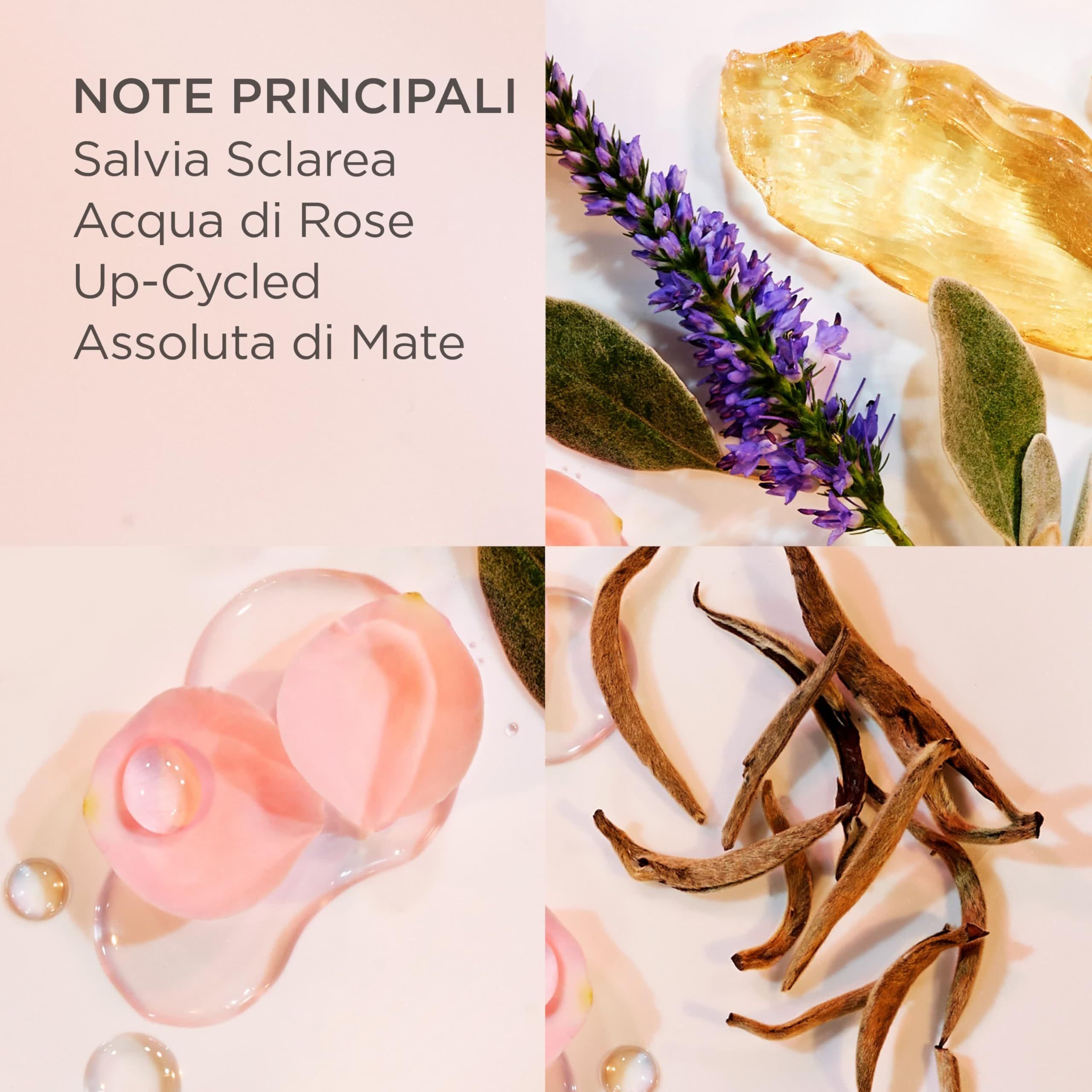 Composizione quadrata con ingredienti: Salvia Sclarea, Acqua di Rose, Up-cycled, Assoluta di Mate. Sfondo rosa.