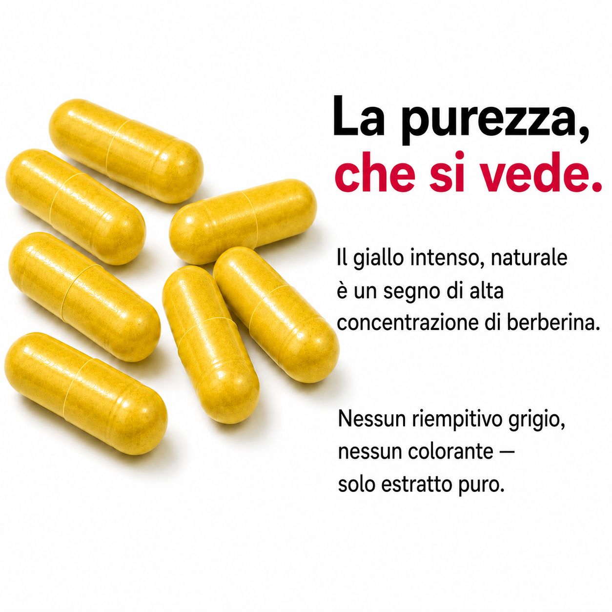Bio Medical Pharma Capsule di Berberina