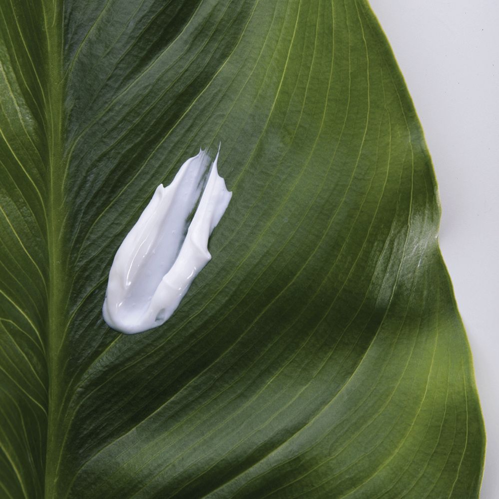 SHAPE® cosmetici – CREMA VISO NOTTE