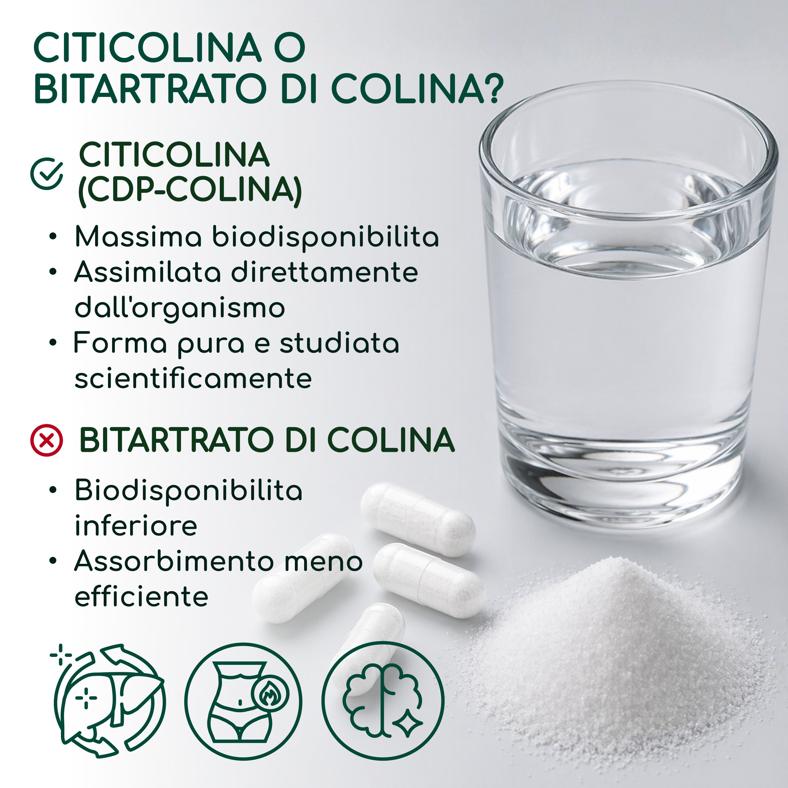Citicolina CDP-Colina Pura 500 mg per Capsula - Memoria, Concentrazione e Funzione Cellulare - RAIBU