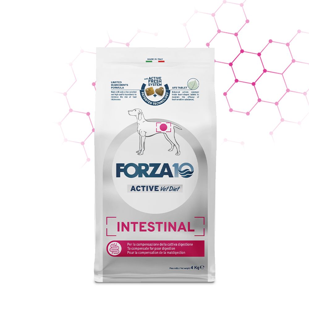 Forza 10 cane intestinal active adult allsize