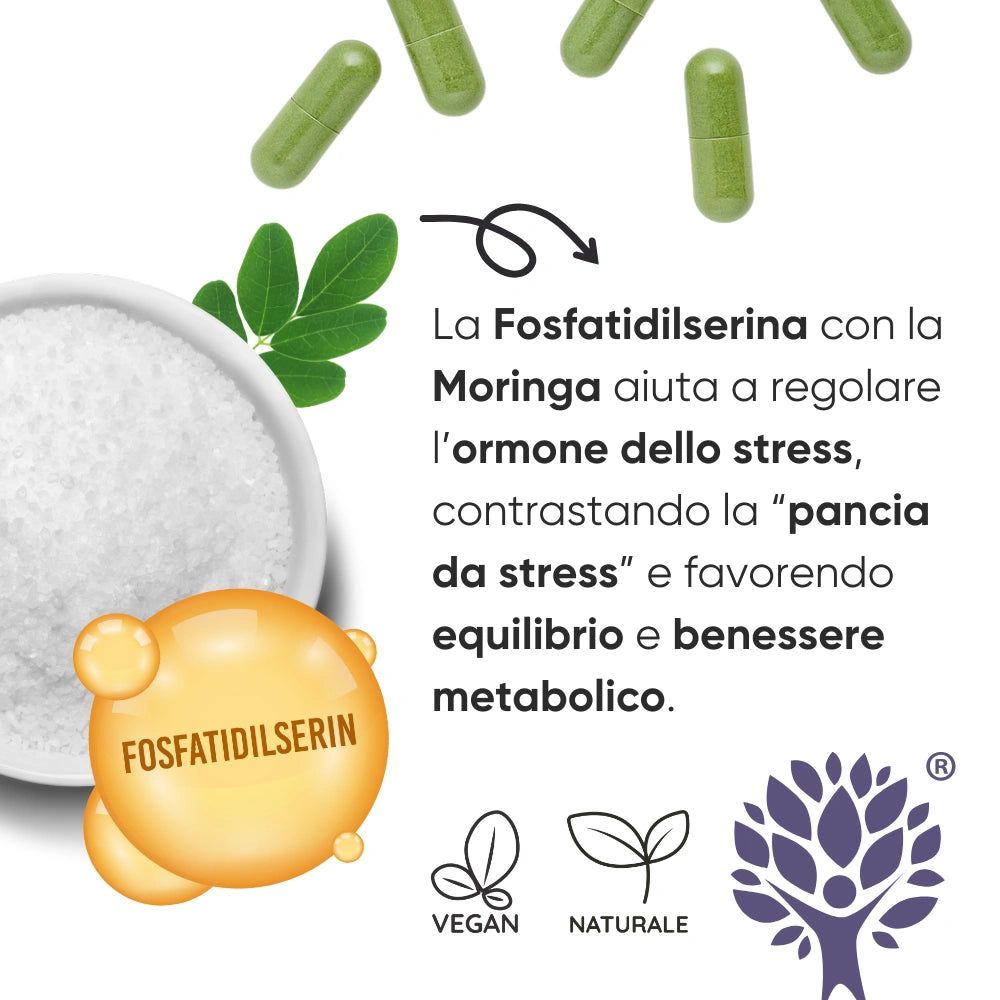 Ingredienti: Fosfatidilserina e Moringa. Testo: La Fosfatidilserina con la Moringa aiuta a regolare l'ormone dello stress.