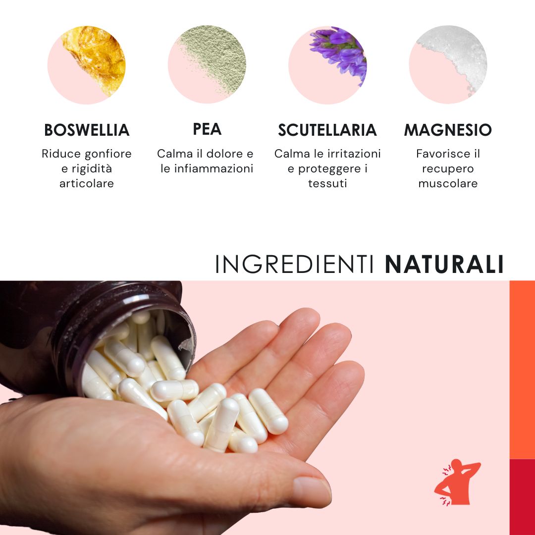 Mano che tiene capsule. Sulla confezione: Hemp Capsules Relief. Ingredienti naturali: Boswellia, PEA, Scutellaria, Magnesio.