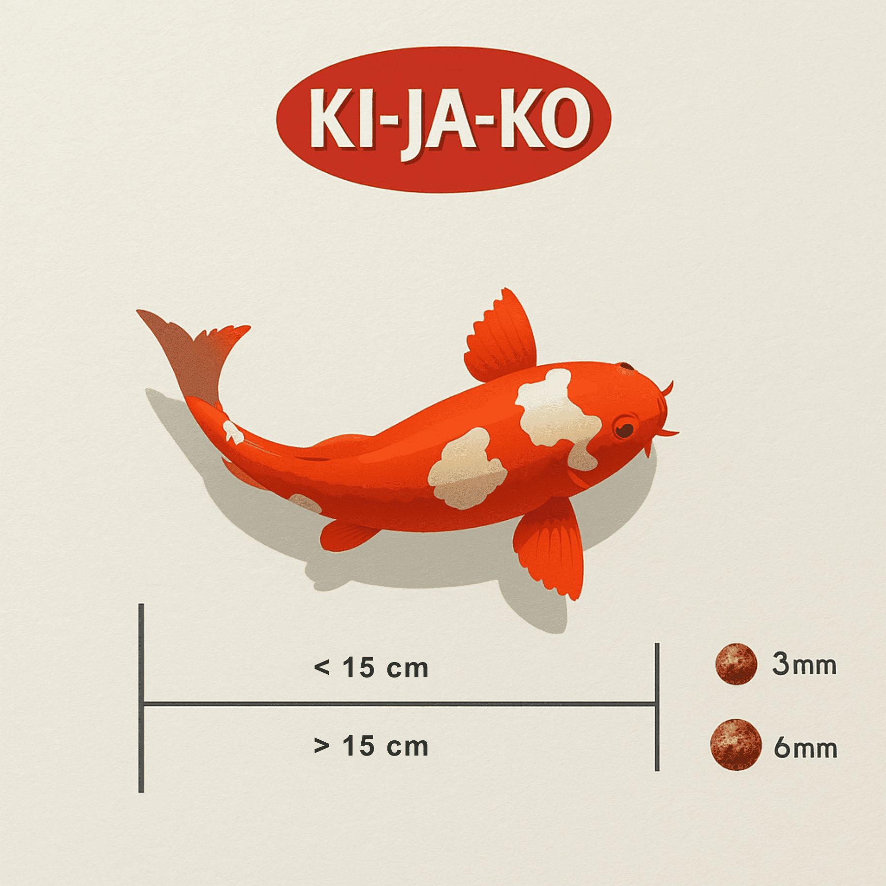 Illustrazione di pesce koi con indicazioni di dimensioni. Testo: KI-JA-KO, 3mm, 6mm.