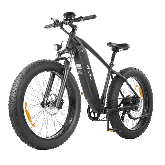 Bicicletta elettrica DYU King750 con batteria rimovibile da 48 V 20 Ah