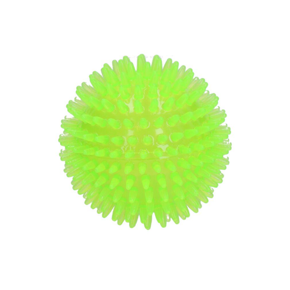 Cane Comete Esopianeta Verde s