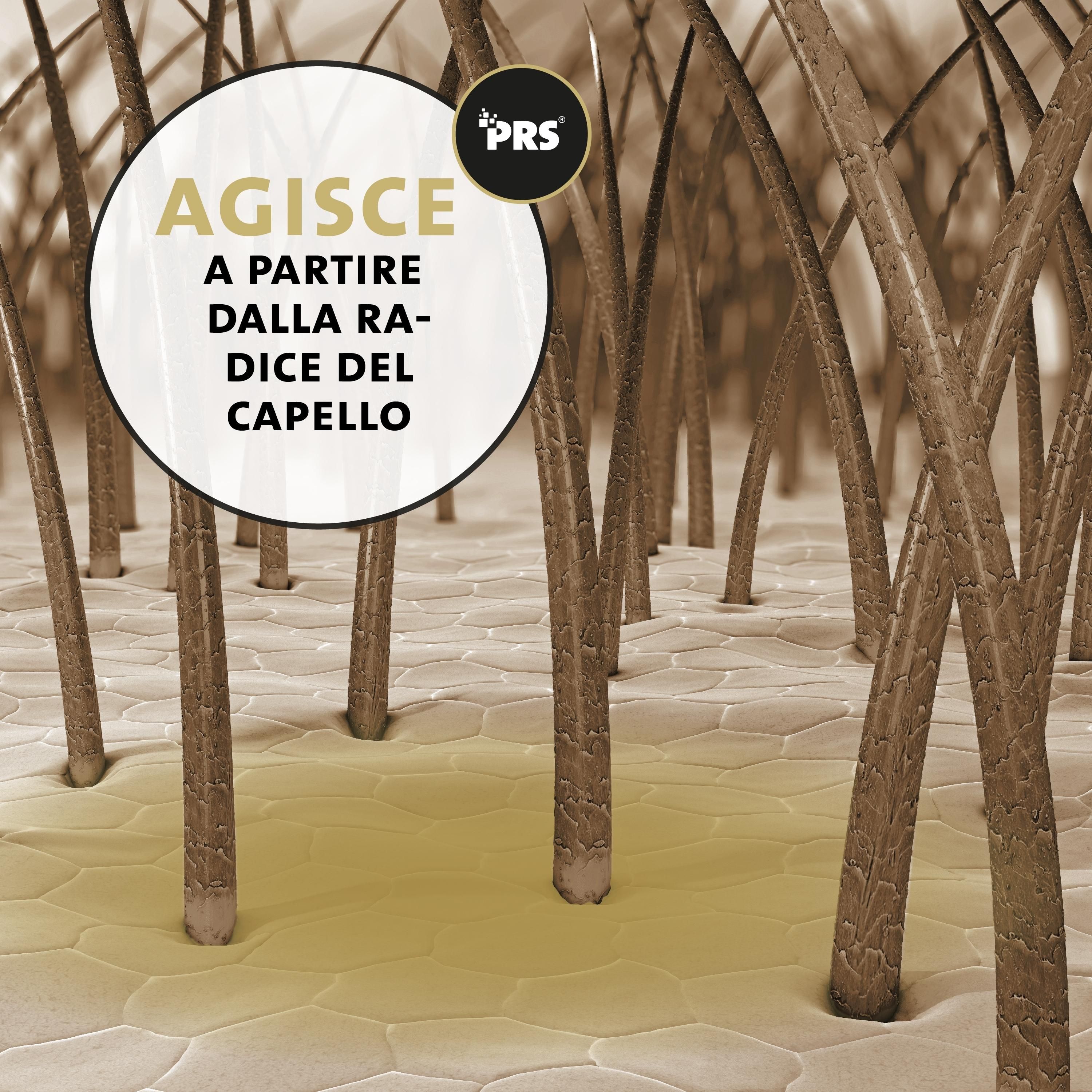 Primo piano dei peli del cane. Liquido giallo alla radice dei peli. Testo: Agisce direttamente alla radice dei peli. Logo PRS.